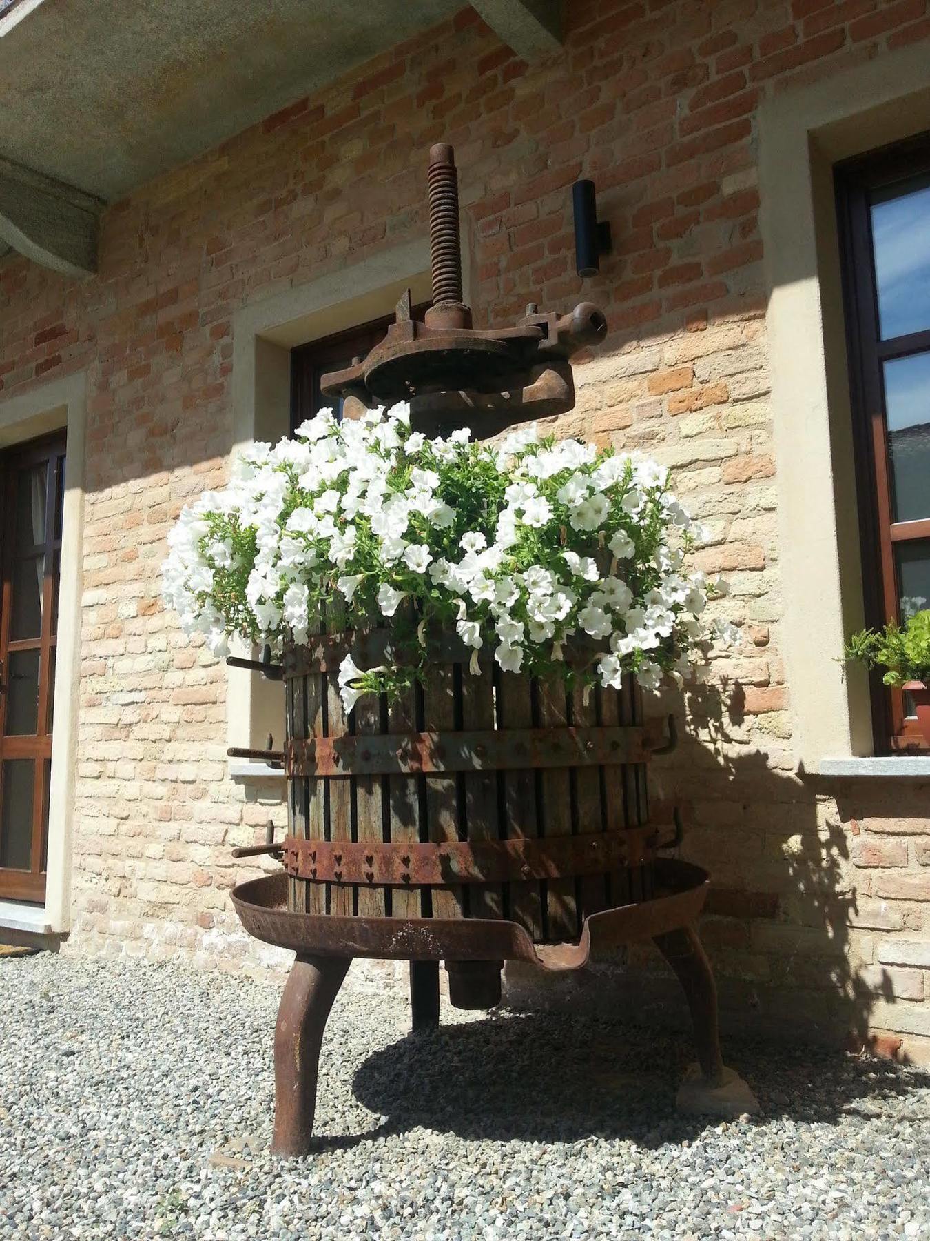 Castagnole delle Lanze Dimora Cortese מראה חיצוני תמונה